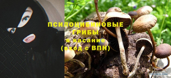 трава Алексин