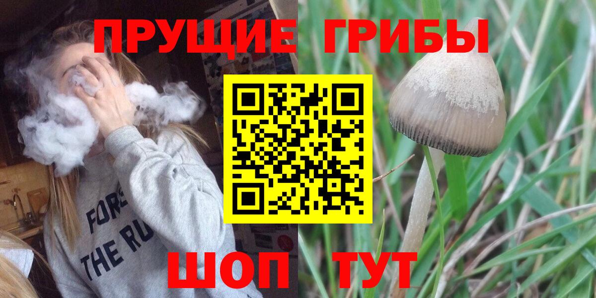 как найти наркотики  Галлюциногенные грибы прущие грибы  Вход с VPN  Коряжма  Галлюциногенные грибы Magic Shrooms 